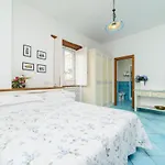 Gattacicova 4*