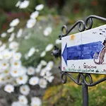 Bed & Breakfast Gattacicova 4*