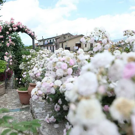 Bed & Breakfast Gattacicova 4*