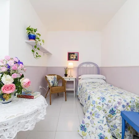 Gattacicova Bed & Breakfast *