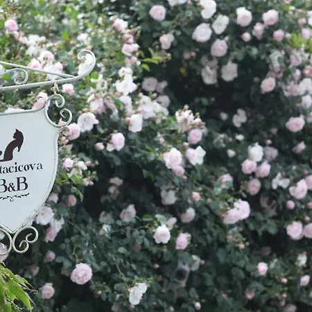 Bed & Breakfast Gattacicova Cava deʼ Tirreni