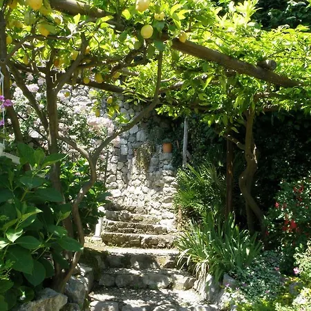 Panzió Gattacicova 4*